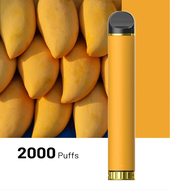2000 Puffs Salt Nicotine Disposable Vapes Custom E Cig Vaporizer OEM / ODM